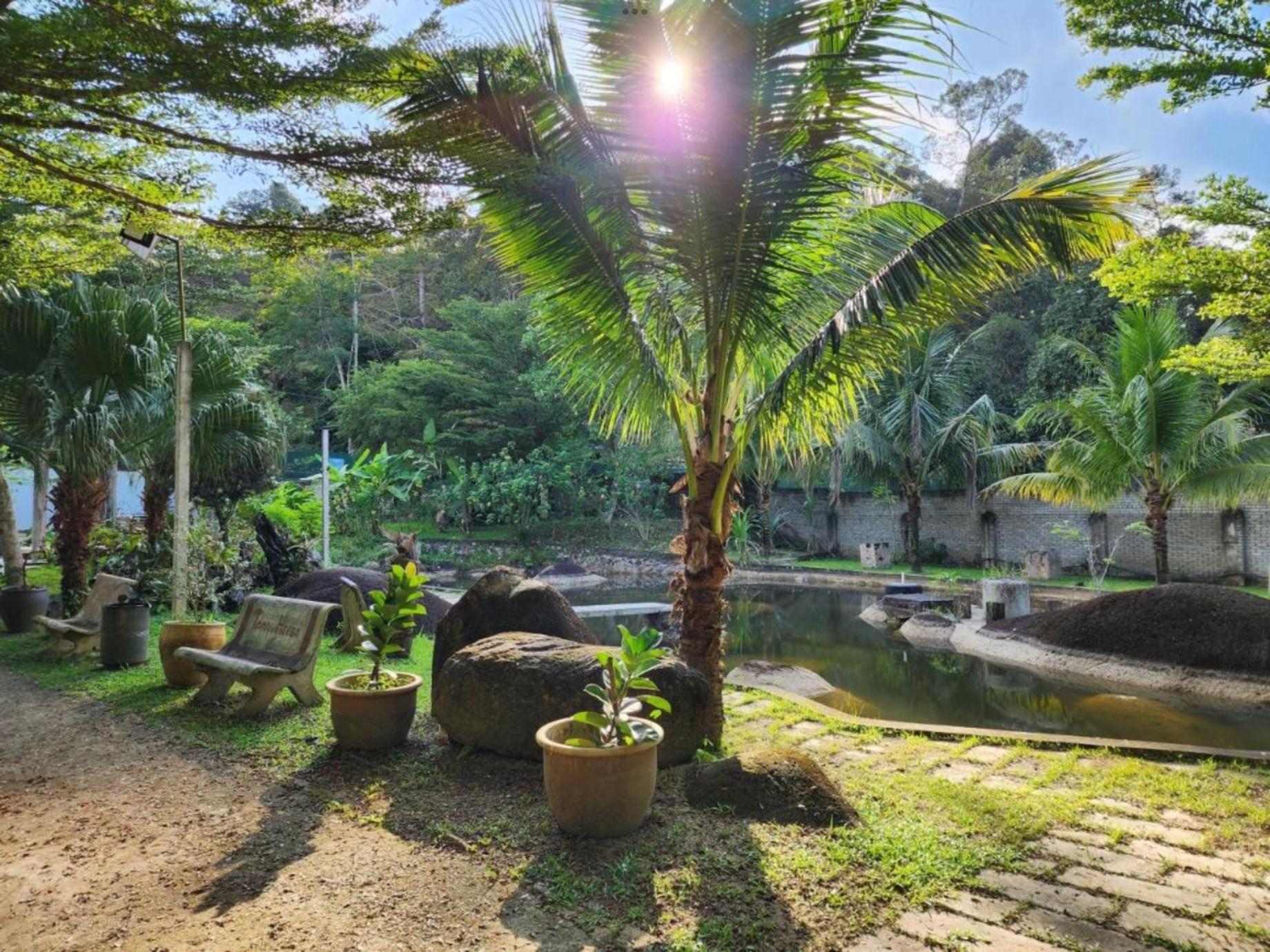 Rock Forest Chalet เบนตง ภายนอก รูปภาพ