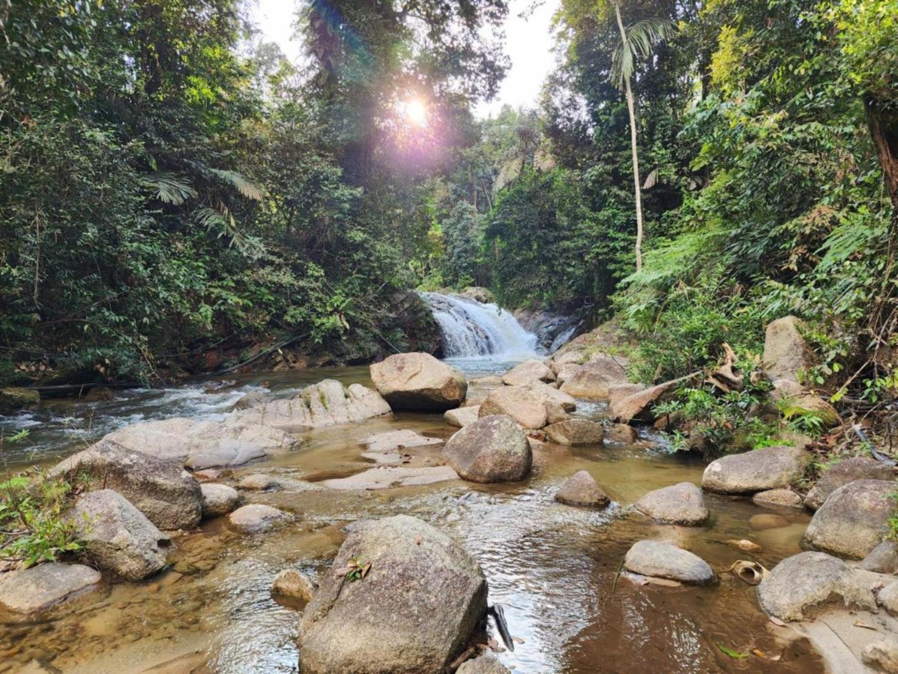 Rock Forest Chalet เบนตง ภายนอก รูปภาพ